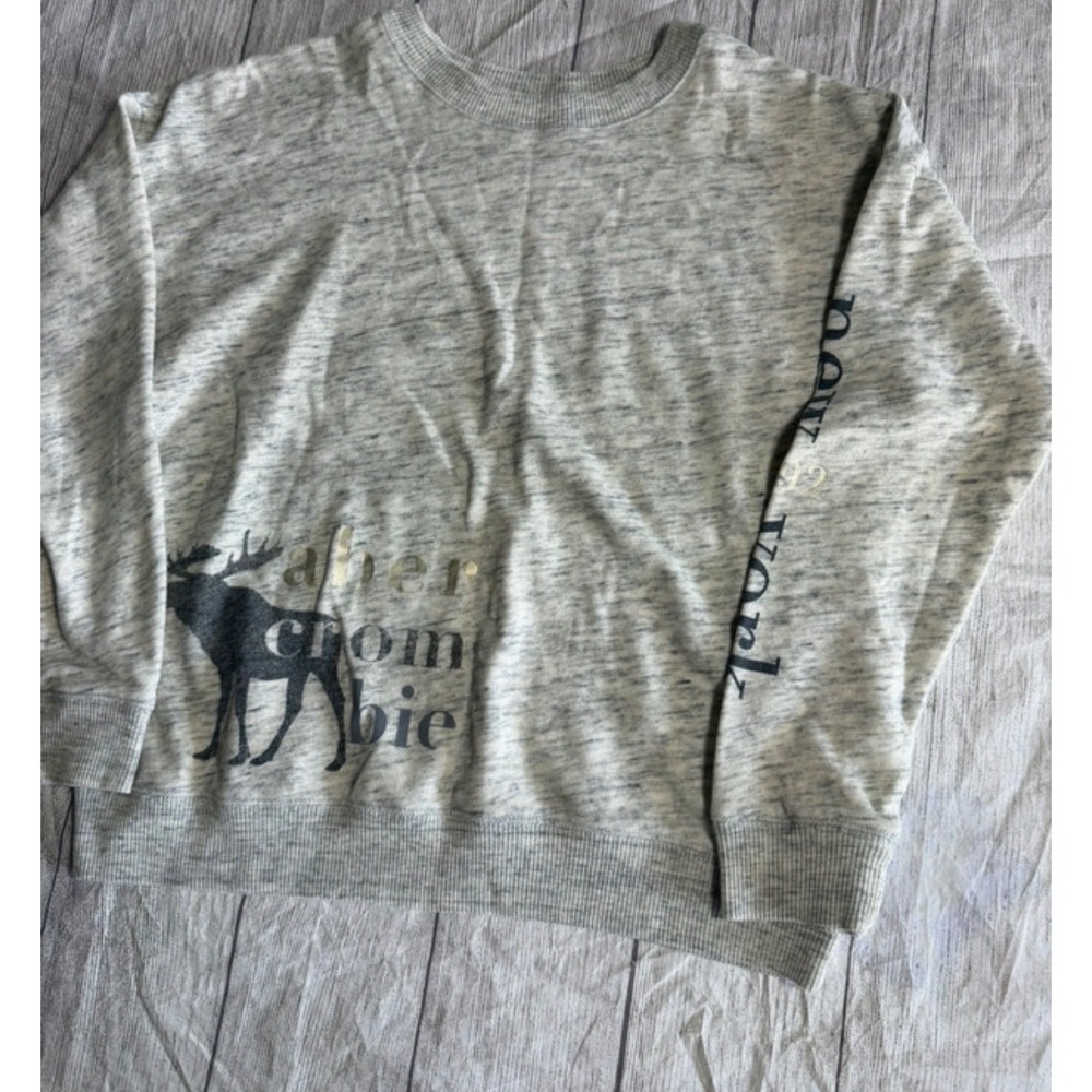 Abercrombie Kids Grey Space Dye Moose New York Graphic Sweatshirt Pullover